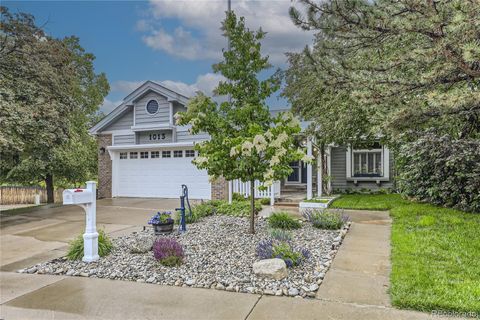 1013 E 130th Drive Thornton CO 80241