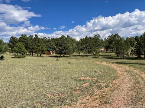 330 Arrowhead Drive Florissant CO 80816