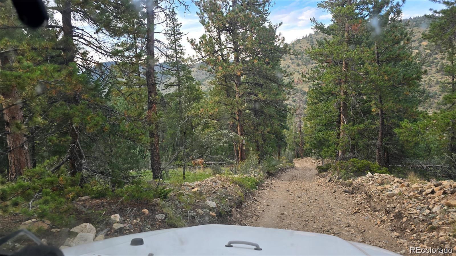 Olympic and Hecla Mines