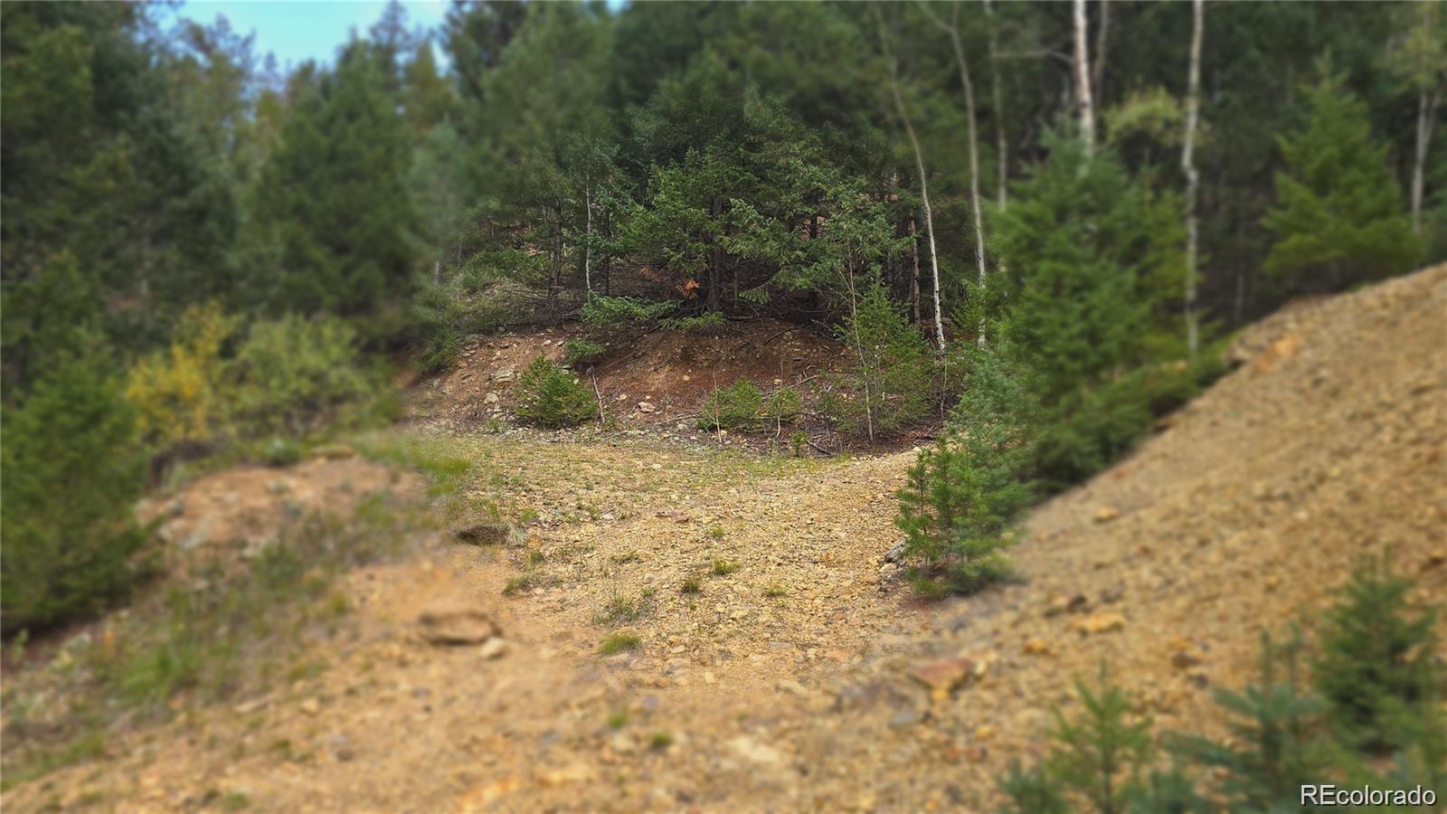 Olympic and Hecla Mines