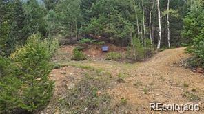 Olympic and Hecla Mines