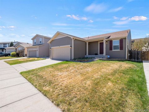 5383 Lewiston Street Denver CO 80239