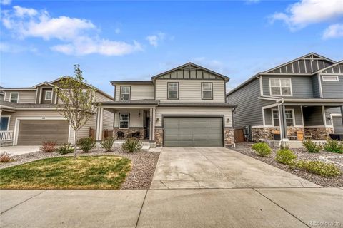 604 Silver Rock Trail Castle Rock CO 80104