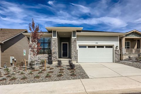 494 Basin Daisy Street Castle Rock Co 80104