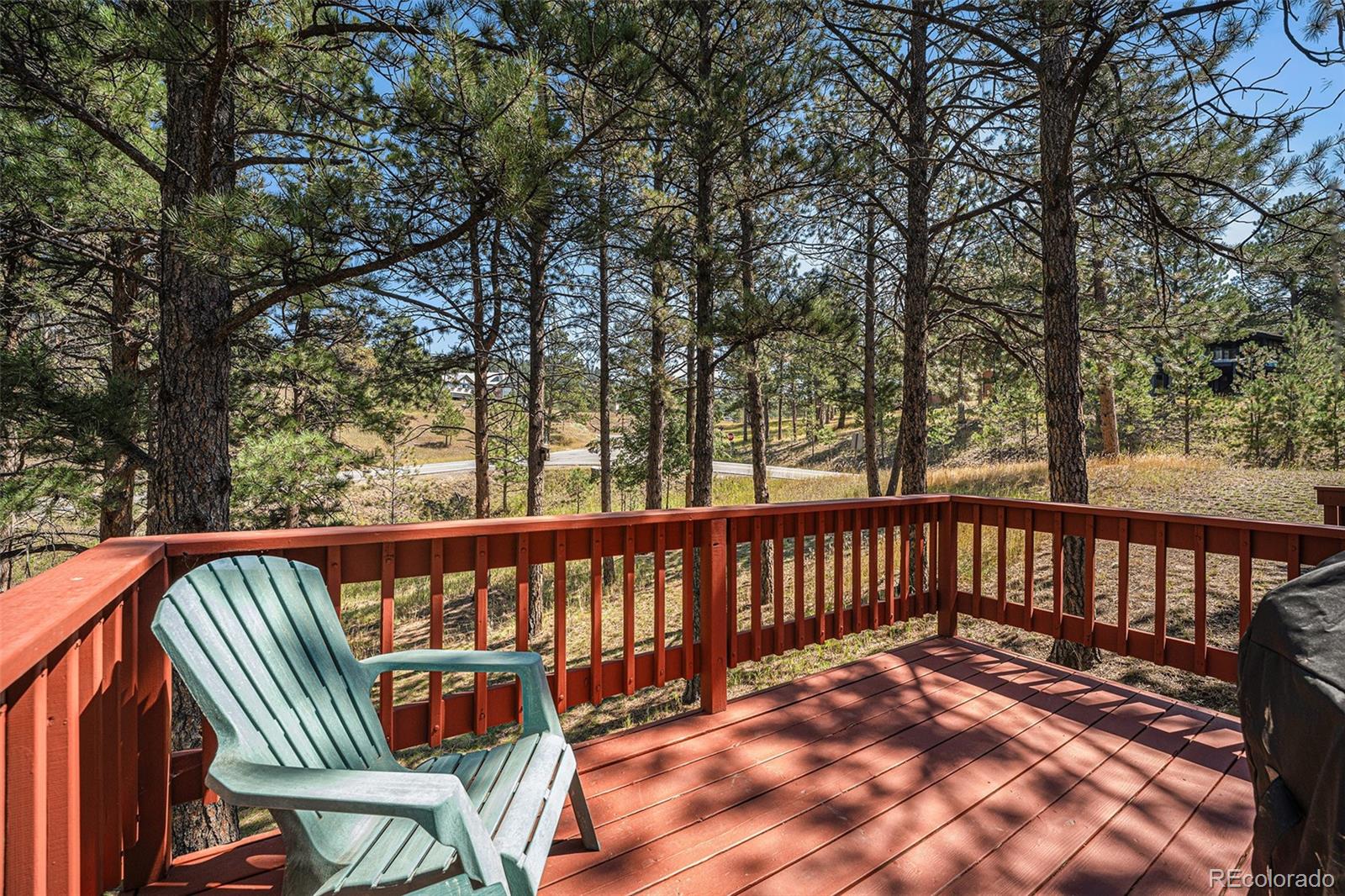 25250 Montane Drive W