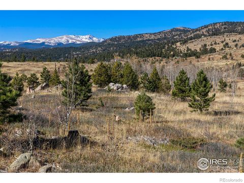 Unimproved Land in Boulder CO Owl Creek Road 7.jpg