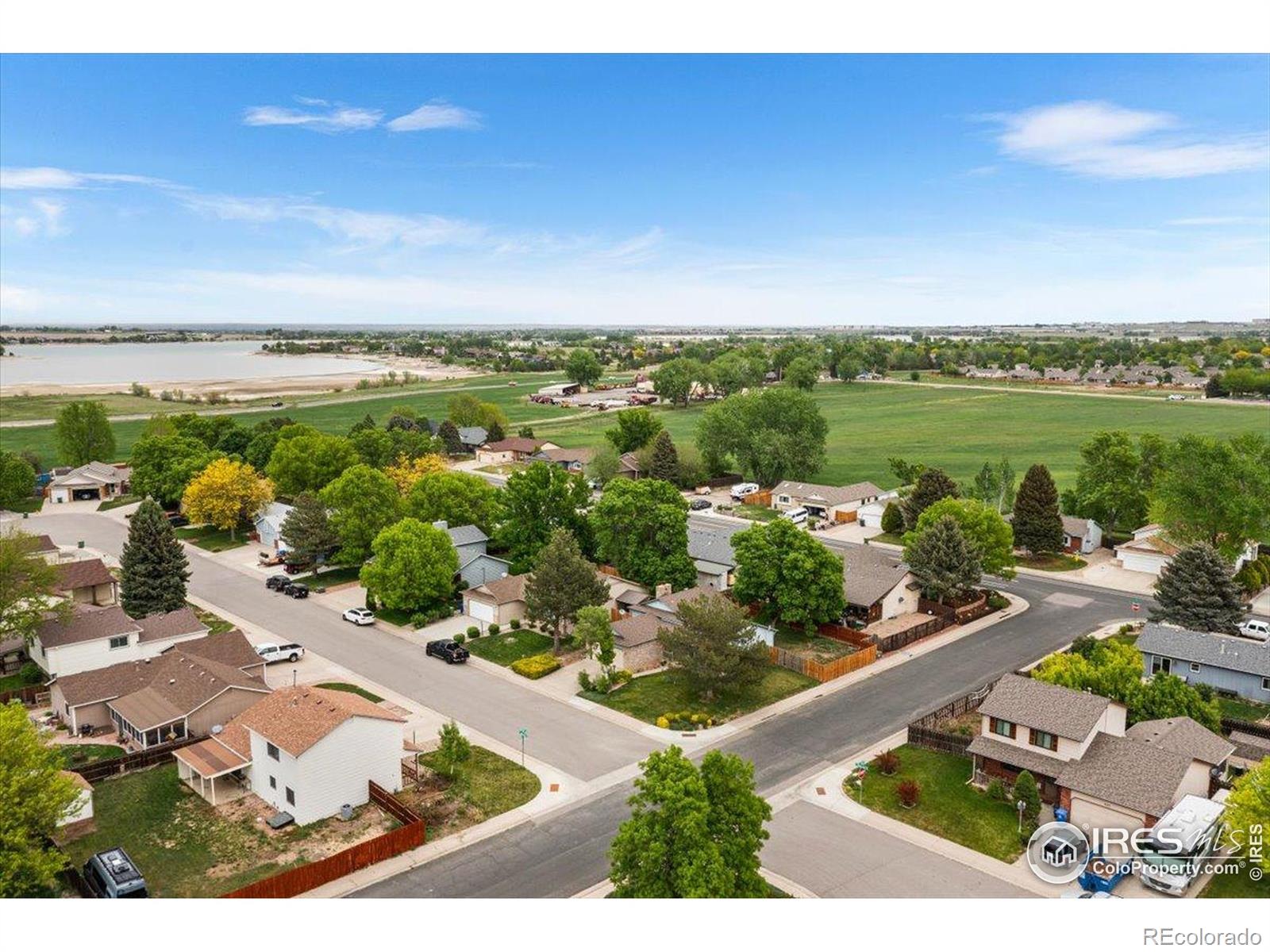 3402 White Ash Court