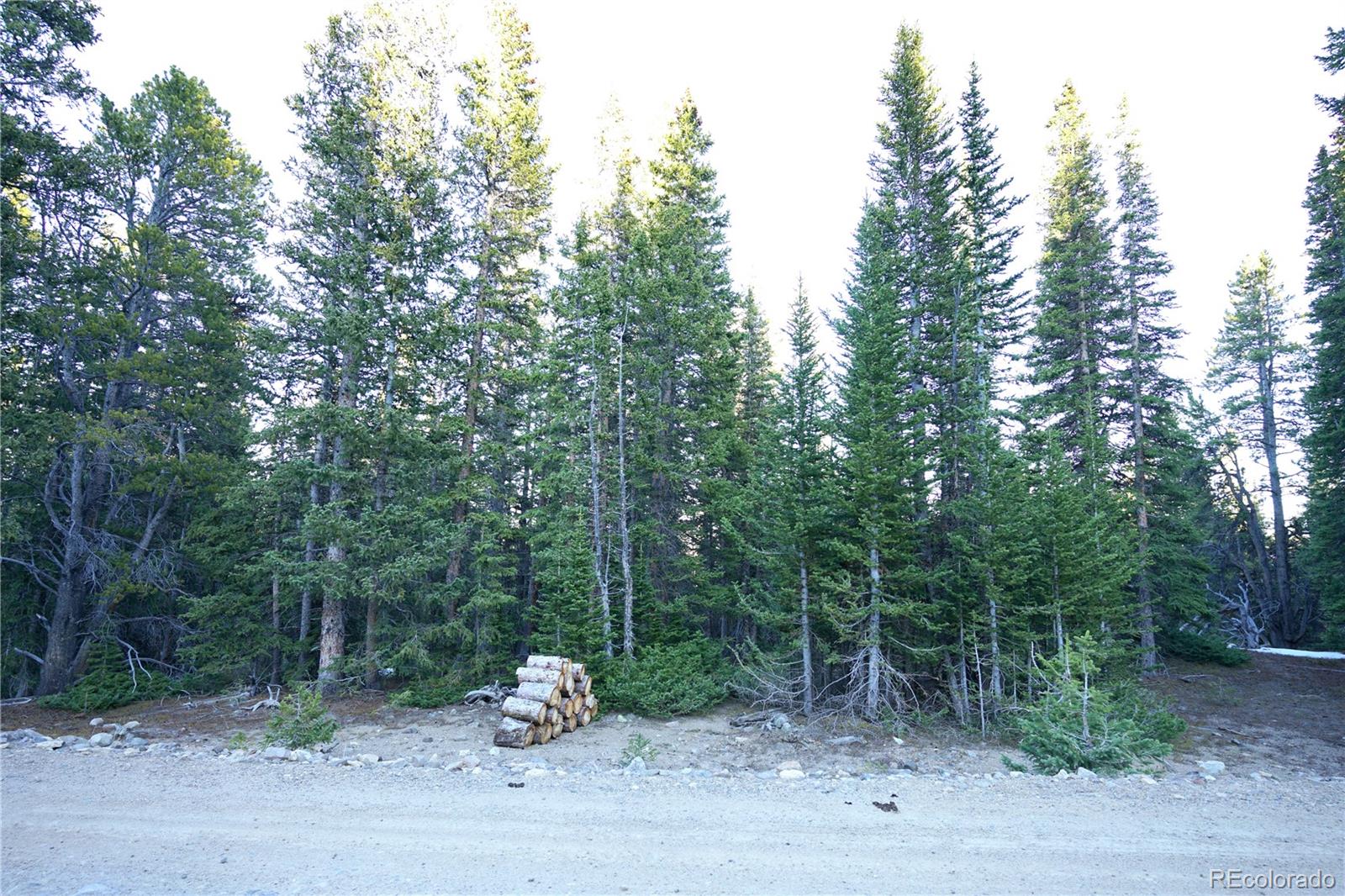 210 Silverheels Place