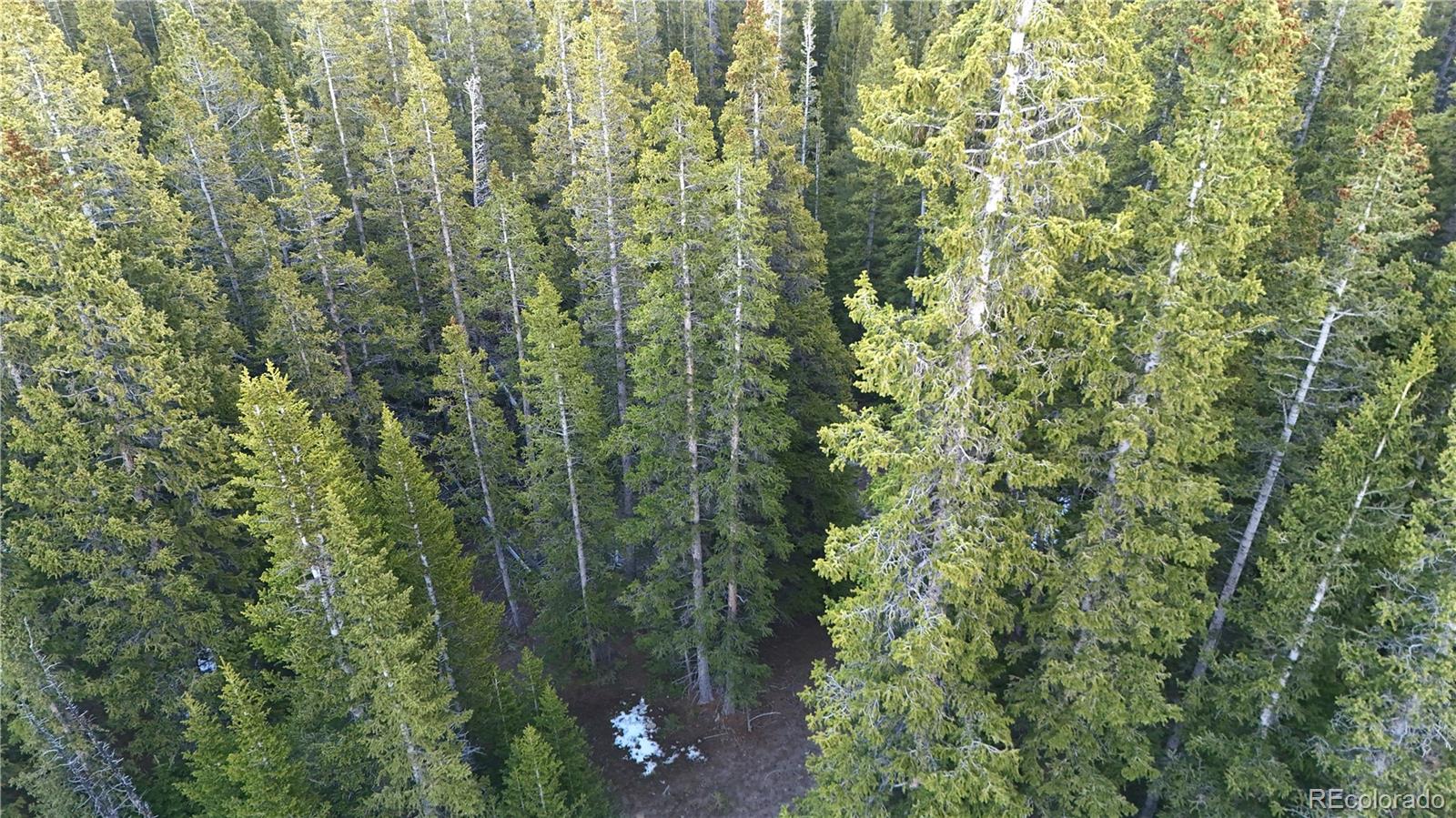 210 Silverheels Place