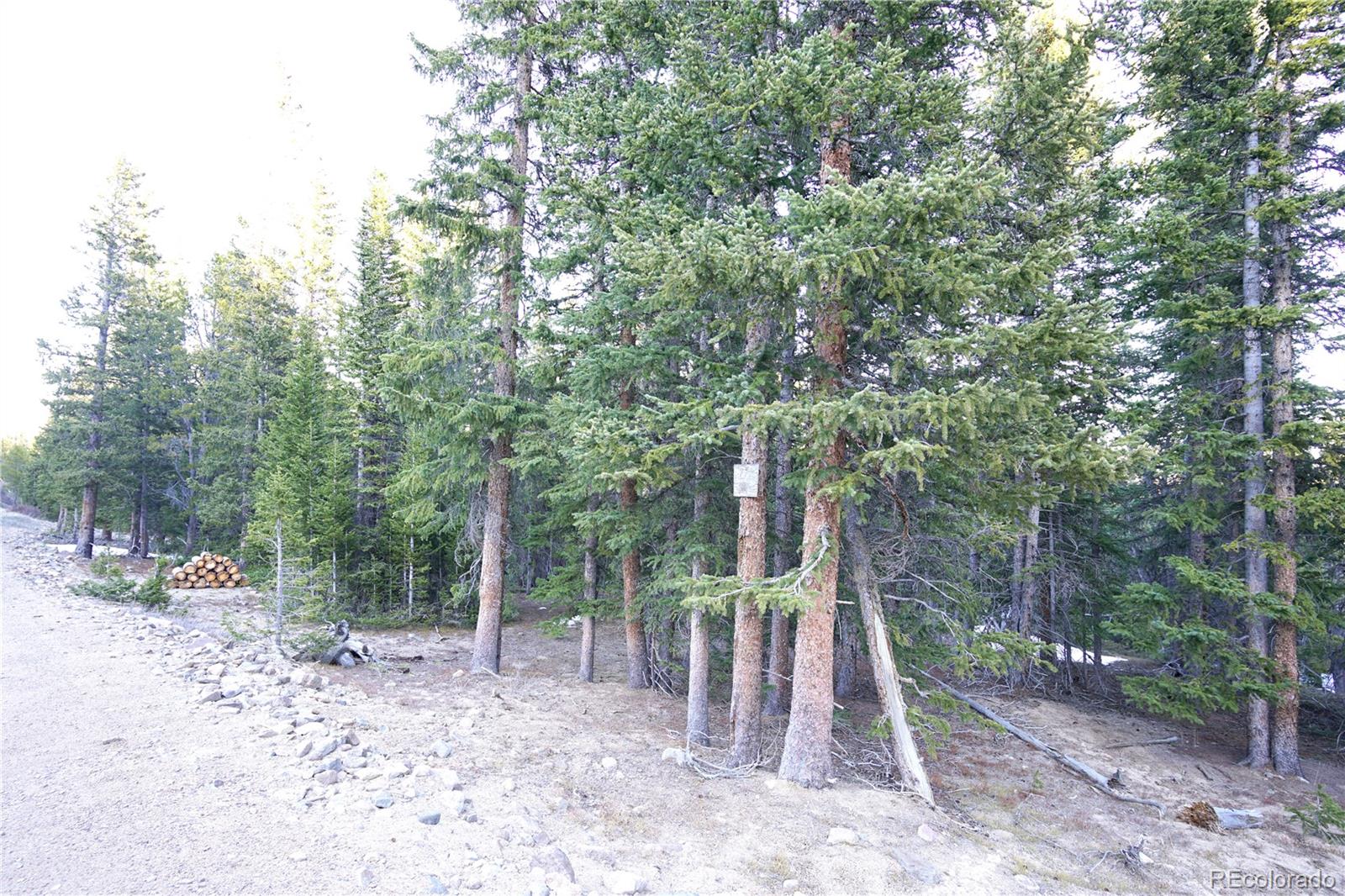 210 Silverheels Place