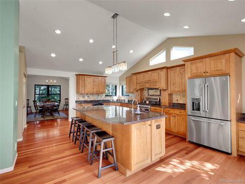 11049 Schweigert Avenue Conifer CO 80433