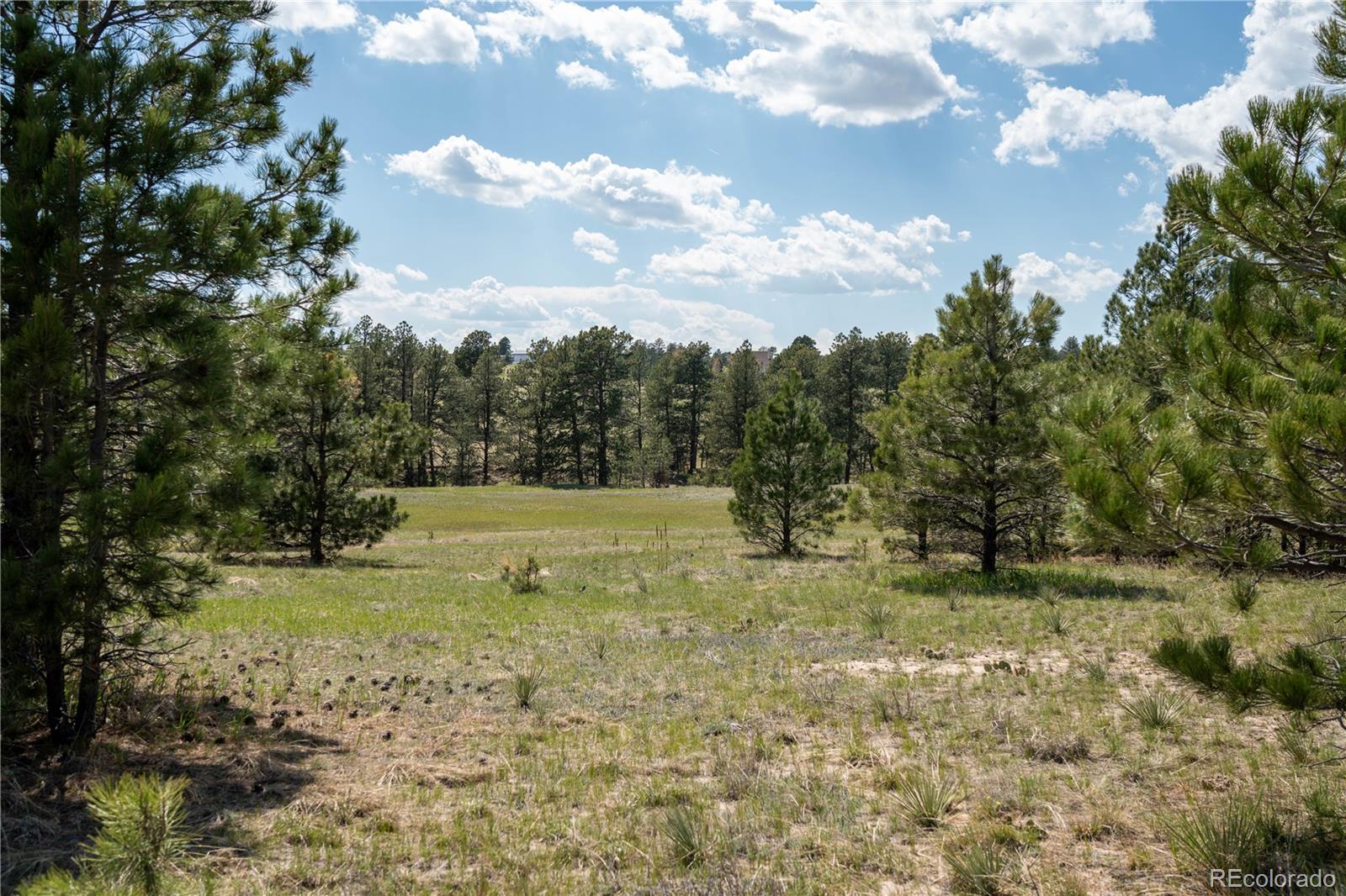 TBD-2 Paradise Circle