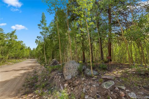 2564 Empire Valley Drive Leadville CO 80461