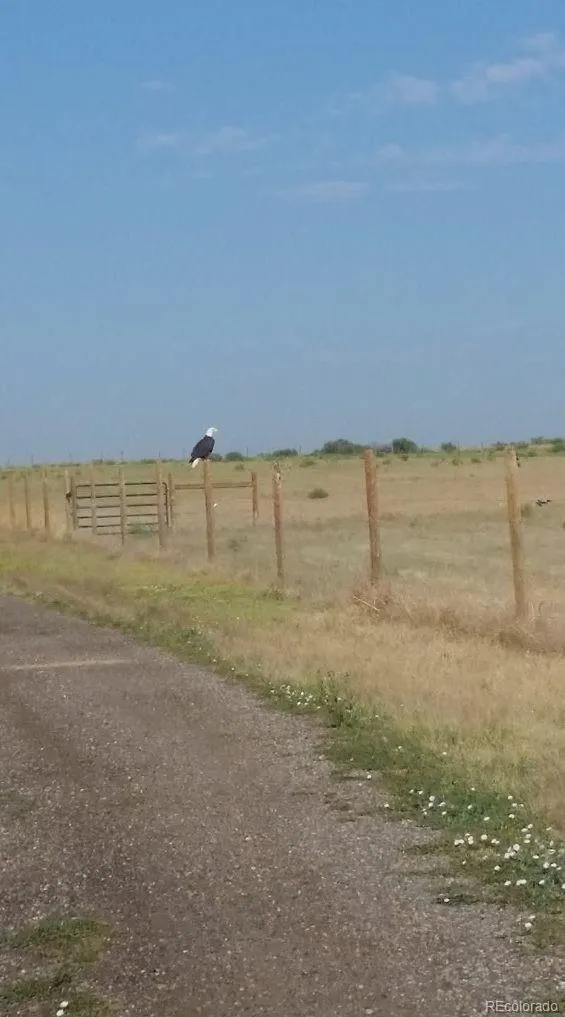 Keenesburg, Colorado 80643, United States, 3 Bedrooms Bedrooms, ,2 BathroomsBathrooms,Residential,Active,154796