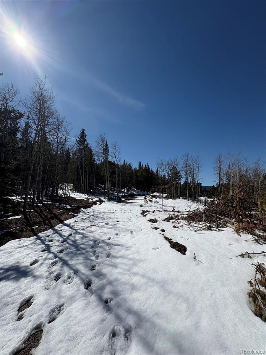 1513 Chinook Road