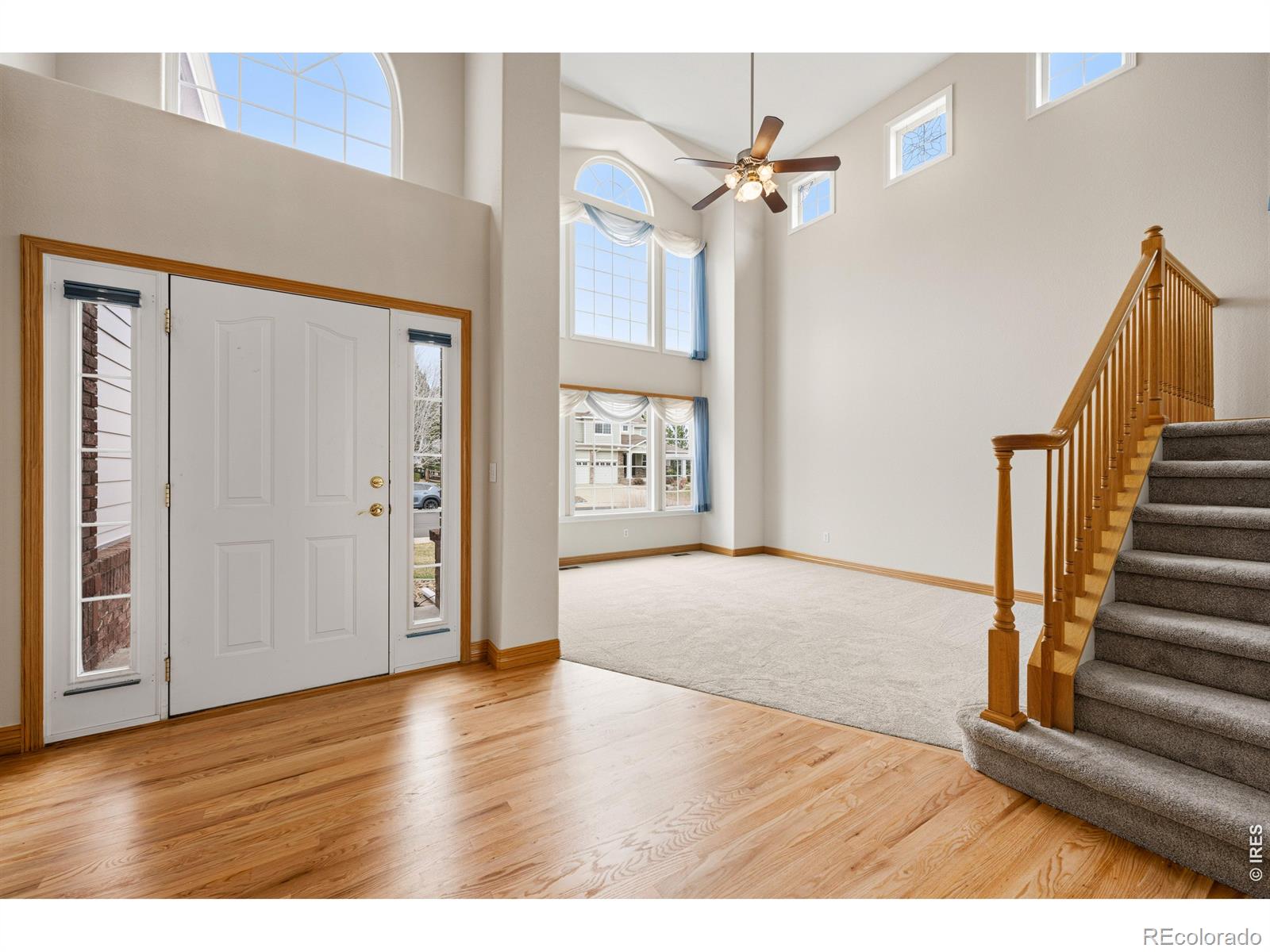 11790 Pleasant View Ridge