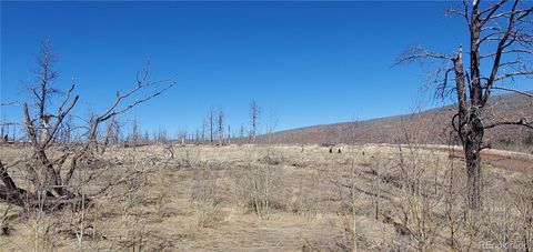 Lot 1566 Cary Lane Fort Garland CO 81133