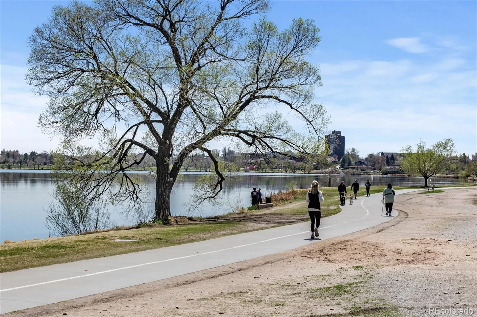 Edgewater, Colorado 80214, United States, 3 Bedrooms Bedrooms, ,1 BathroomBathrooms,Residential,Active,109271