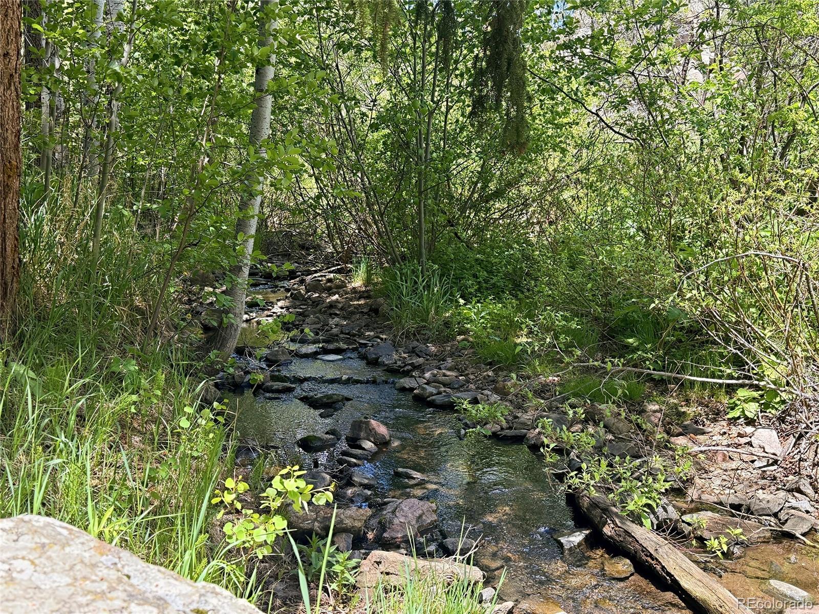 9717 S Deer Creek Canyon Road