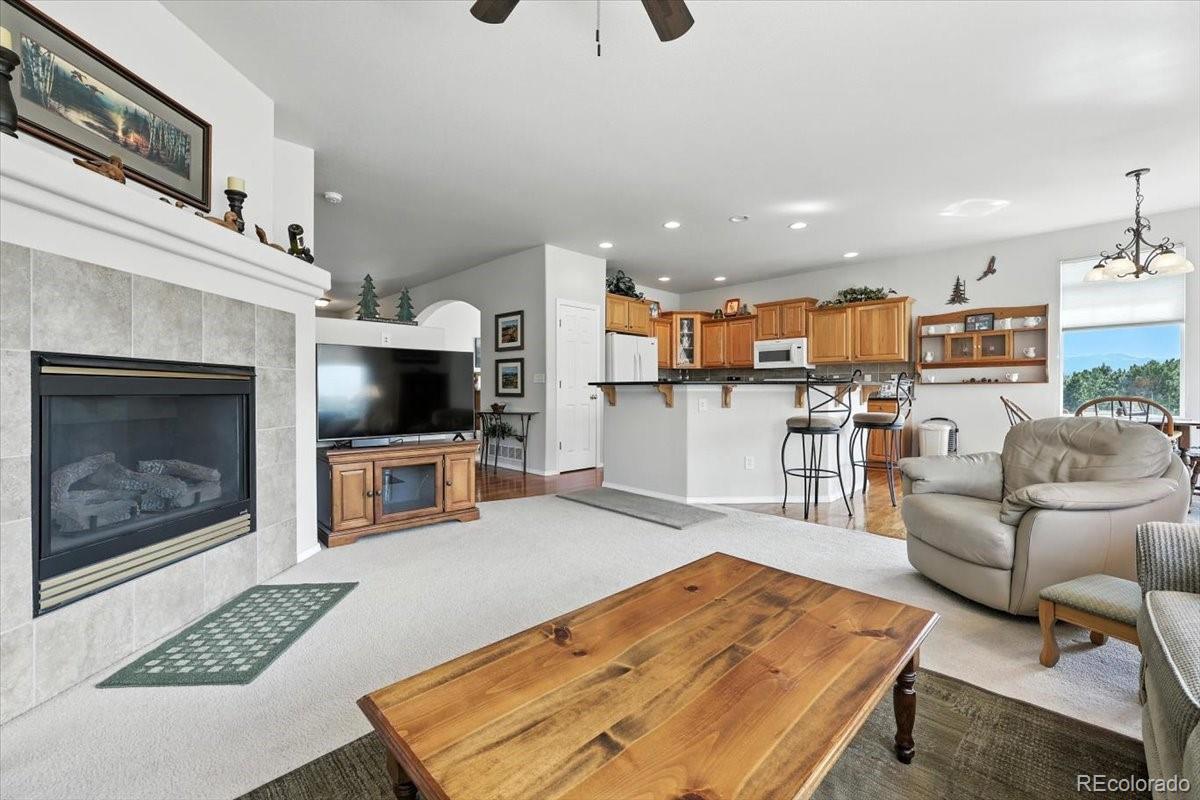 10091 Red Sage Drive