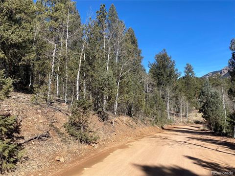 12373 S Polly Drive Pine CO 80470
