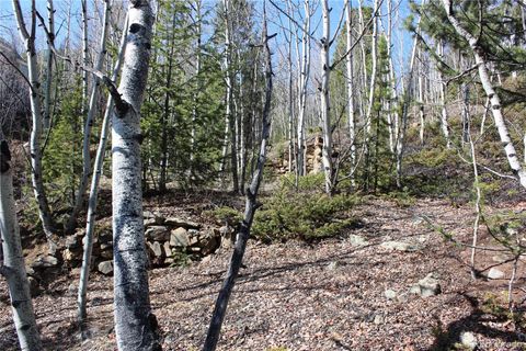 00 Spruce Street Central City CO 80427