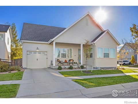 286 Mt Elbert Street Brighton CO 80601