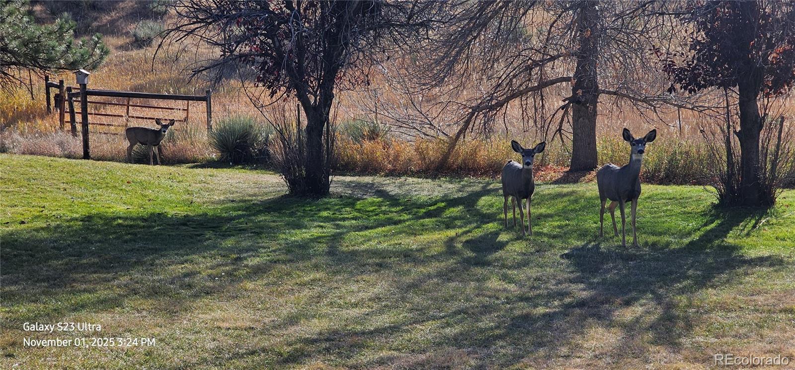 10100 E Pinewood Drive