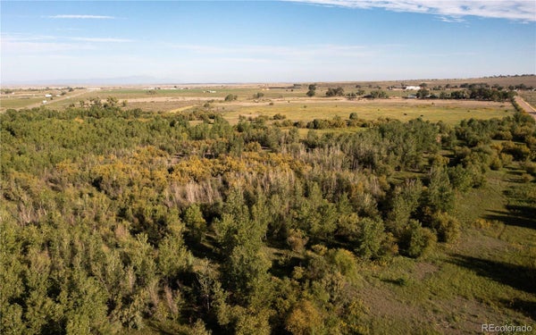 706 AVONDALE BLVD, AVONDALE, CO 81022 - Image 340bdf6470b8148b3ebfaca58fca7f82/801891793