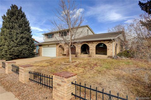 13226 Canopus Drive Lone Tree CO 80124