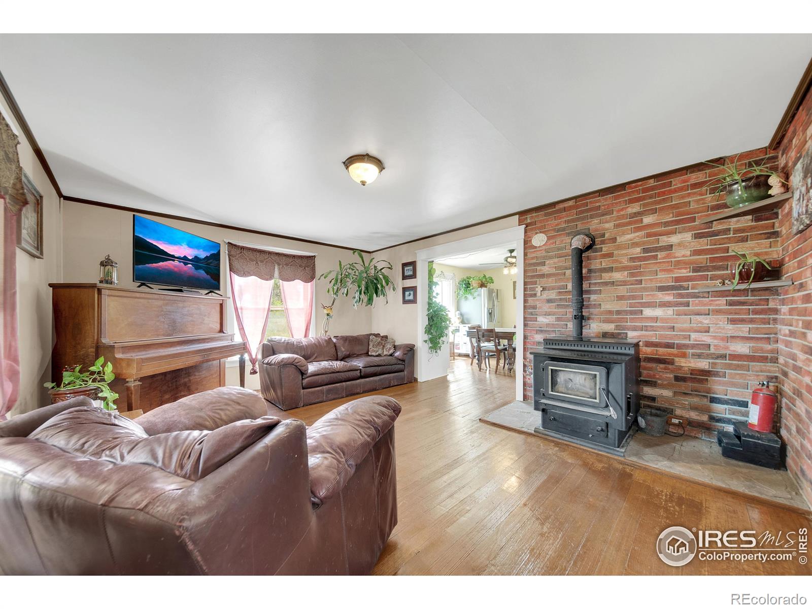 47 Shirley Avenue