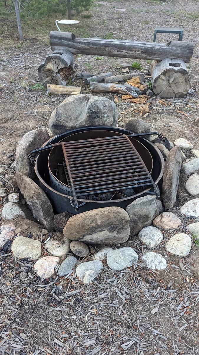 803 Cr-462, Grand Lake, CO, 80447 10 803 Cr-462