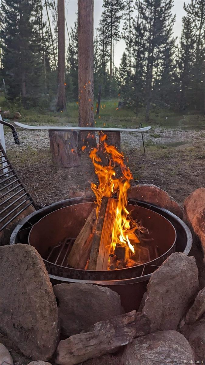 803 Cr-462, Grand Lake, CO, 80447 9 803 Cr-462