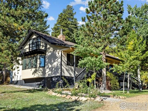 11982 Peak to Peak Drive Allenspark CO 80510