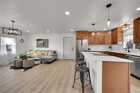 3910 County Road 37 Brighton CO 80603