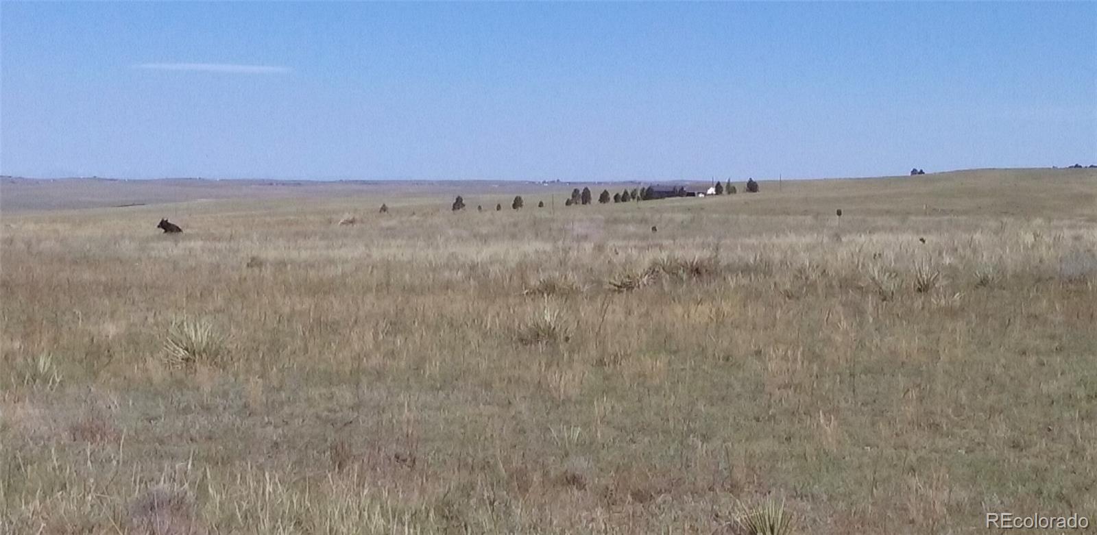12115 St Hwy 86 Highway