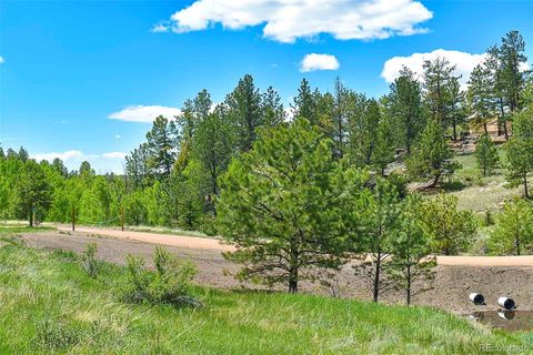 Unimproved Land in Florissant CO 717 Canyon Drive 22.jpg