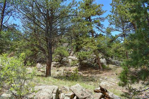 Unimproved Land in Florissant CO 717 Canyon Drive 8.jpg