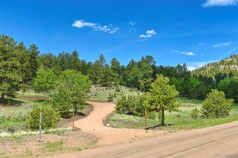 Unimproved Land in Florissant CO 717 Canyon Drive 24.jpg