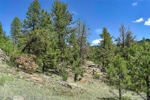 Unimproved Land in Florissant CO 717 Canyon Drive 14.jpg
