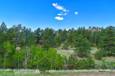 Unimproved Land in Florissant CO 717 Canyon Drive 26.jpg