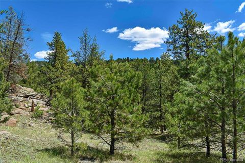 Unimproved Land in Florissant CO 717 Canyon Drive 13.jpg