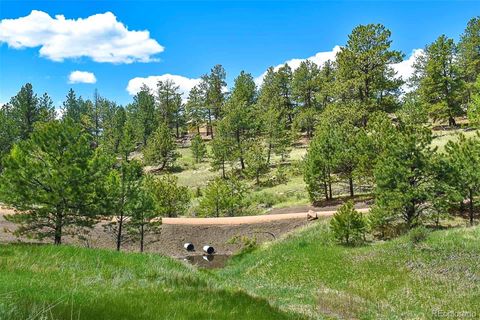 Unimproved Land in Florissant CO 717 Canyon Drive 21.jpg