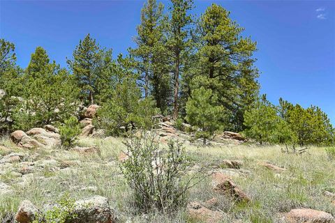 Unimproved Land in Florissant CO 717 Canyon Drive 5.jpg