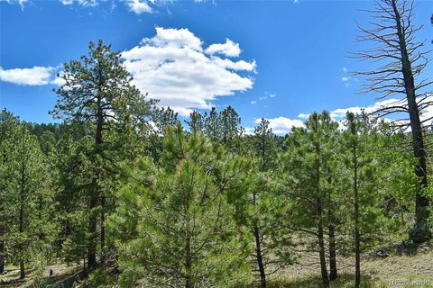 Unimproved Land in Florissant CO 717 Canyon Drive 10.jpg