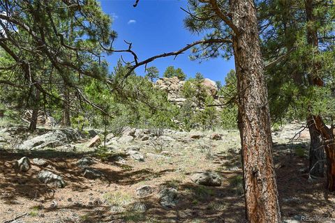 Unimproved Land in Florissant CO 717 Canyon Drive 17.jpg