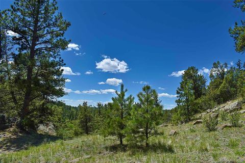 Unimproved Land in Florissant CO 717 Canyon Drive 11.jpg