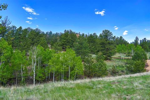 Unimproved Land in Florissant CO 717 Canyon Drive 27.jpg