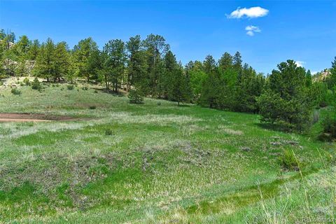 Unimproved Land in Florissant CO 717 Canyon Drive 19.jpg