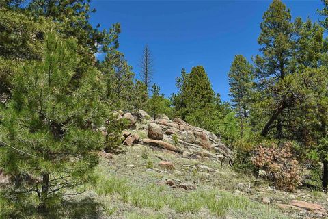 Unimproved Land in Florissant CO 717 Canyon Drive 15.jpg